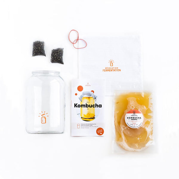 Kit à kombucha maison