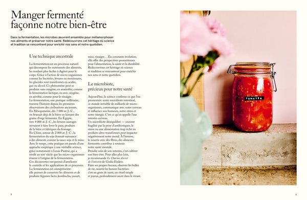 Extrait du livre La fermentation au quotidien par Malika Nguon. Histoire de la fermentation et de ses bienfaits.