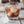 Racinette root beer sur glace