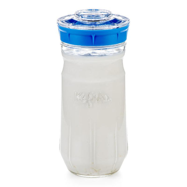 Kit de kéfir Kefirko bleu