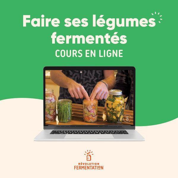 Cours en ligne faire légumes fermentés