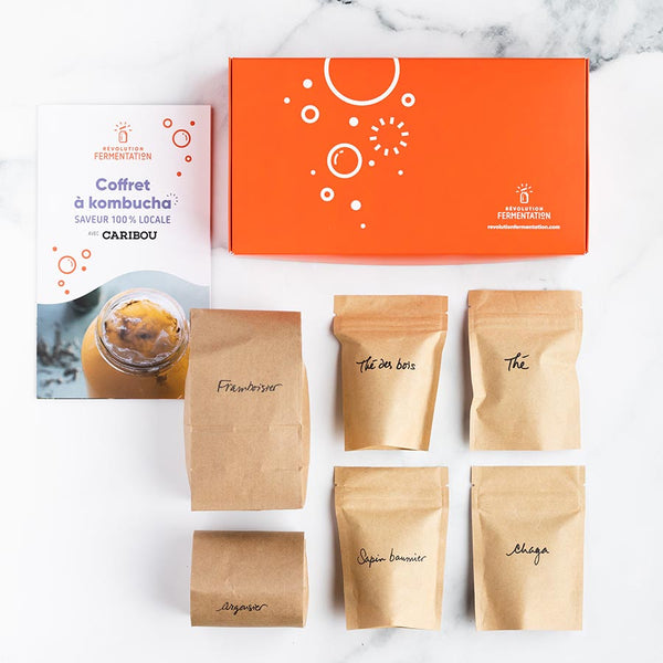 kit de tisanes pour kombucha