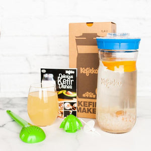 Kit de kéfir Kefirko en France